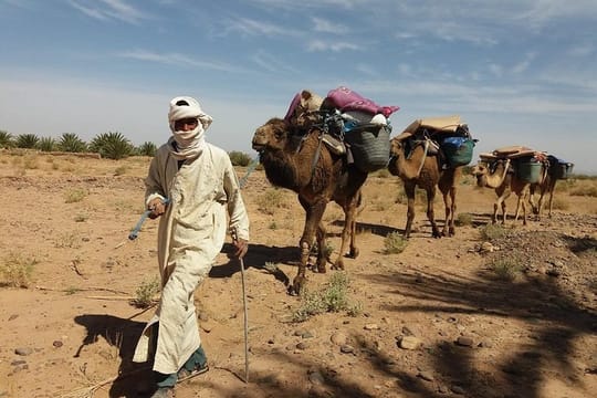 Camel Trek Morocco 8 Days