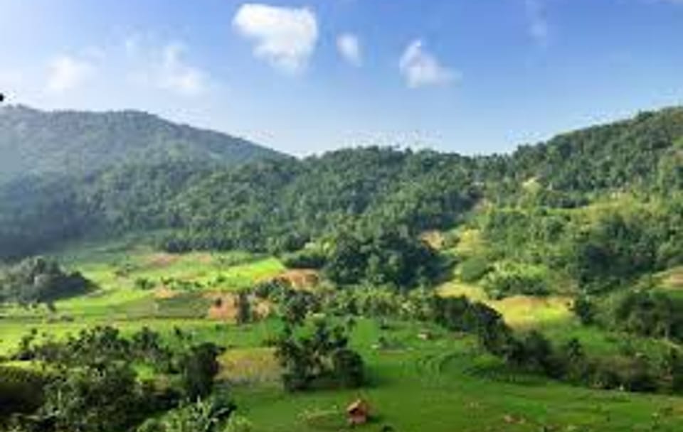 Wasgamuwa Sfari Tour – 03 Days