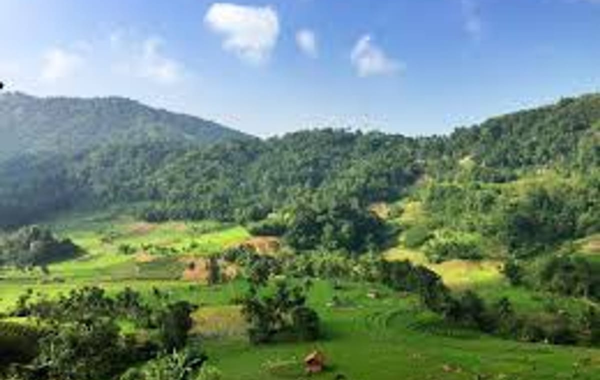 Wasgamuwa Sfari Tour – 03 Days