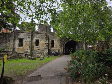 Original York Walks: Private Viking, Roman & History Experience