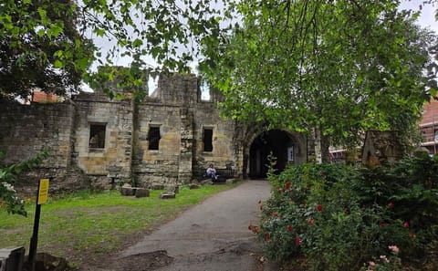 Original York Walks: Private Viking, Roman & History Experience