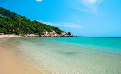 Cultural and Beach Tour from Polonnaruwa to Nilaveli