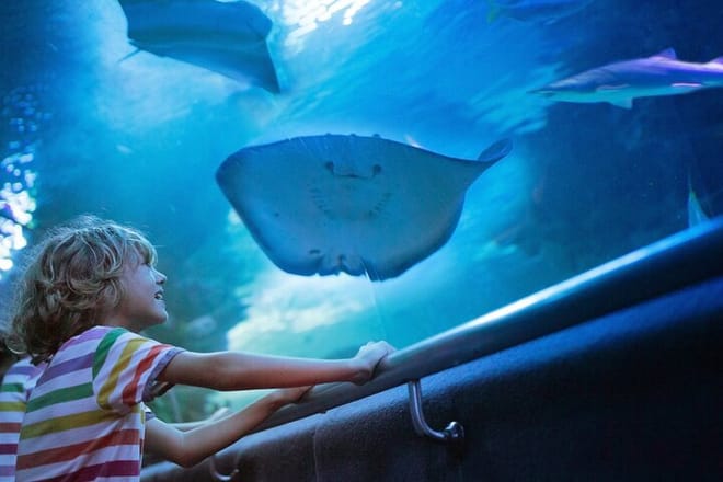 Antalya Half-Day Private City Tour with Aquarium Visit