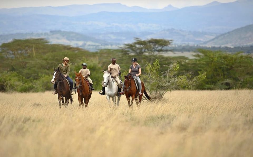 3-Day Luxury Safari Adventure at Solio Ranch, Kenya