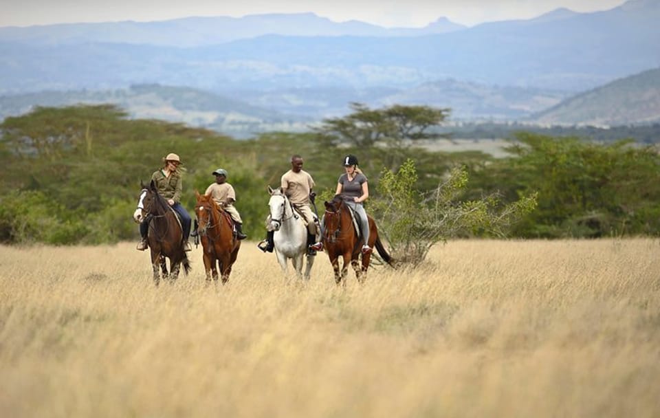 3-Day Luxury Safari Adventure at Solio Ranch, Kenya