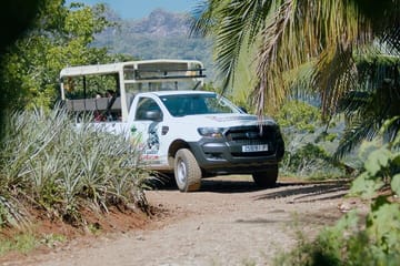 Moorea ATV Safari Tour with Pineapple Farm Visit