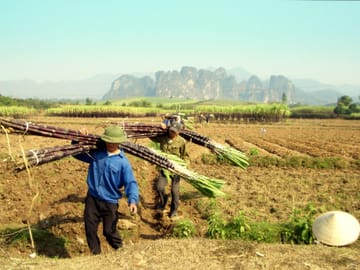 Mai Chau Valley Adventure Day Tour in Hoa Binh, Vietnam