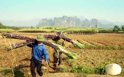 Mai Chau Valley Adventure Day Tour in Hoa Binh, Vietnam