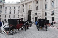 Vienna Private Walking Tour With A Professional Guide 7