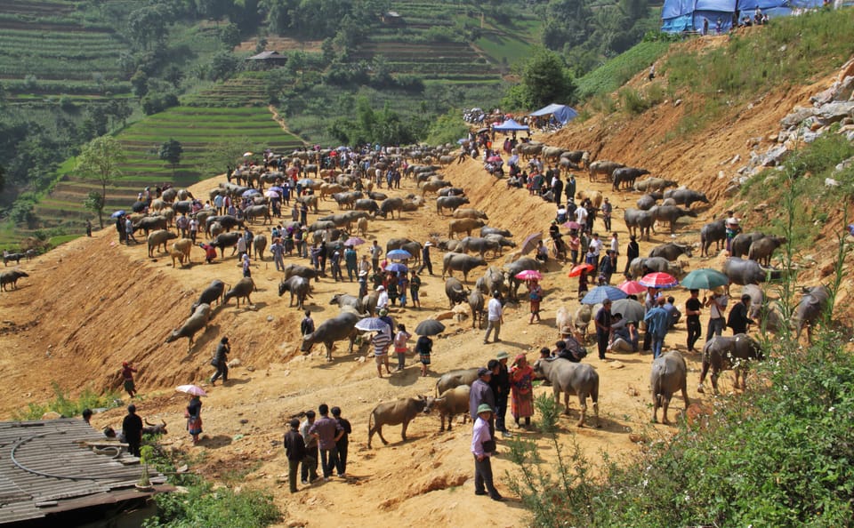 Two-Day Trekking Adventure in Bac Ha, Lào Cai