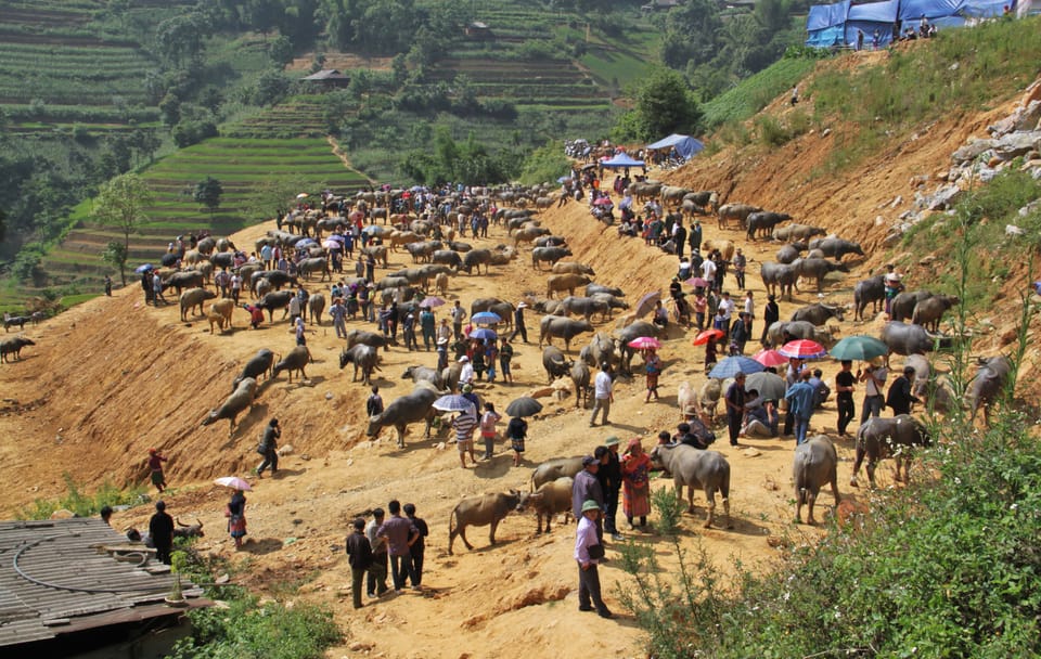 Two-Day Trekking Adventure in Bac Ha, Lào Cai