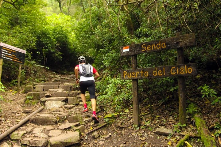 Yungas