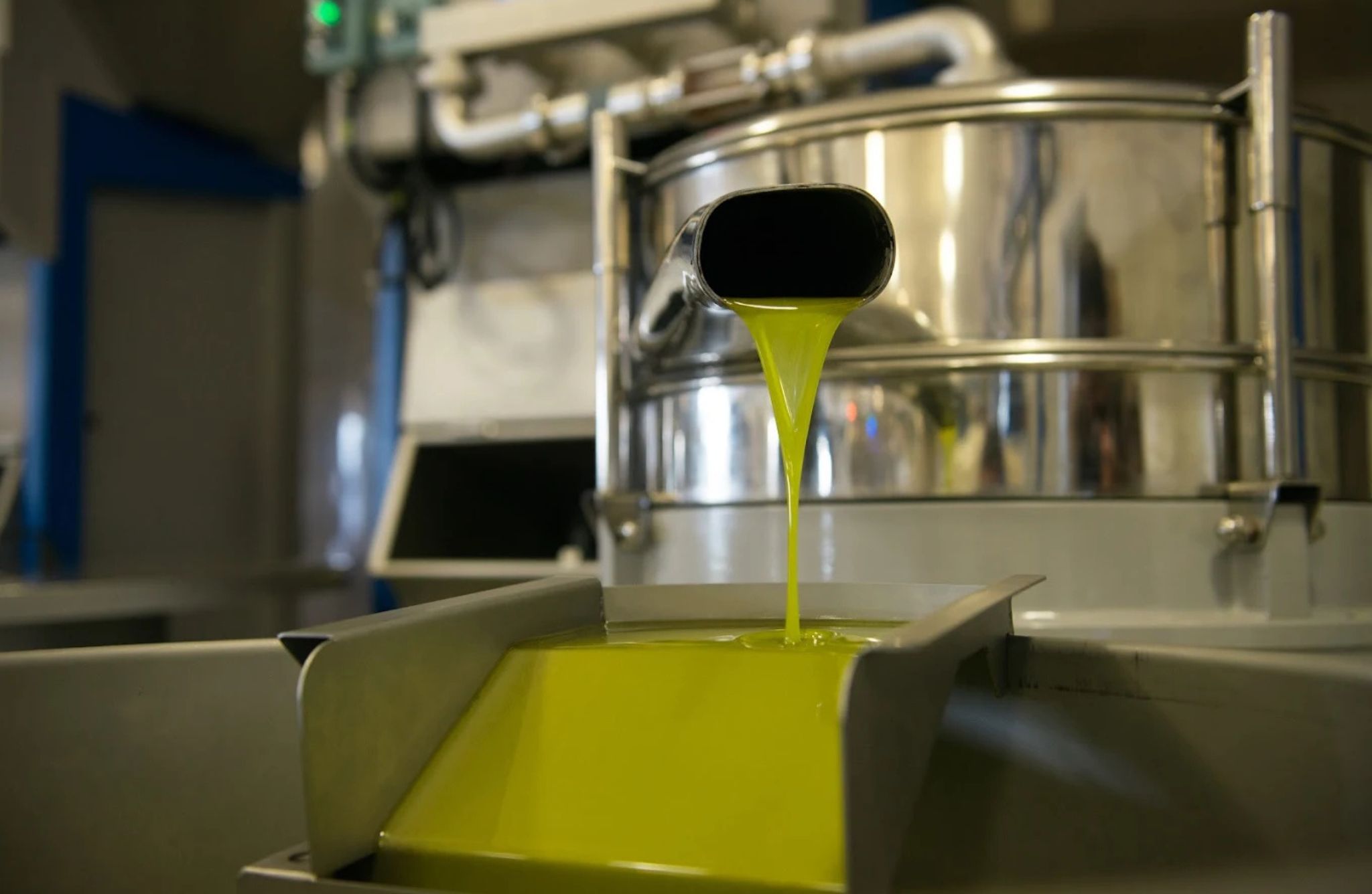 Olive Oil Mill Tour with Tasting near Molfetta & Bari