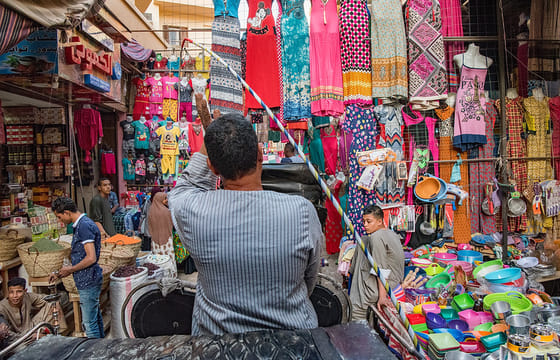 City Tour by Horse Carriage – Hantour