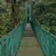 Cloud Forest hanging Bridges tour