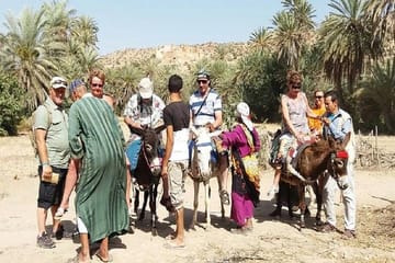 Taroudant and Tiout Oasis Day Trip from Agadir