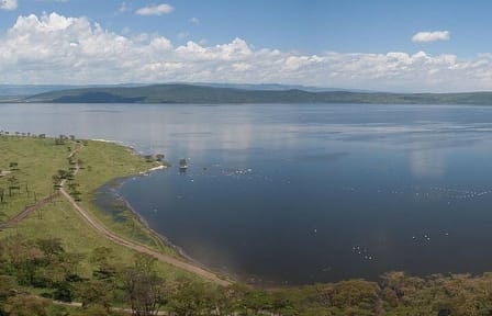 3 Days Birdwatching Luxury Safari