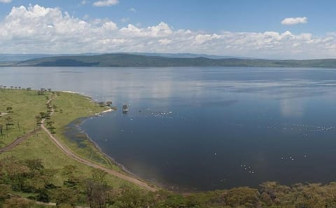 Luxury Birdwatching Safari in Nairobi, Kenya for 3 Days