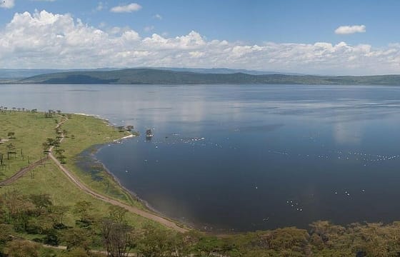 3 Days Birdwatching Luxury Safari