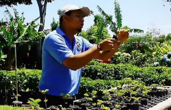 Doka Café, Poas Volcano and La Paz Waterfall Garden