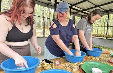 Khao Lak Elephant Sanctuary Small Group Tour with Lunch