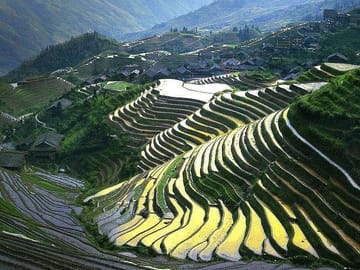 Full-day Tour: Longji Rice Terraces & Minority Villages