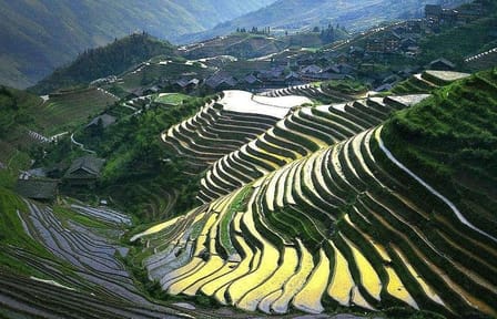 Full-day Hiking Tour of Longji Rice Terraces and Villages