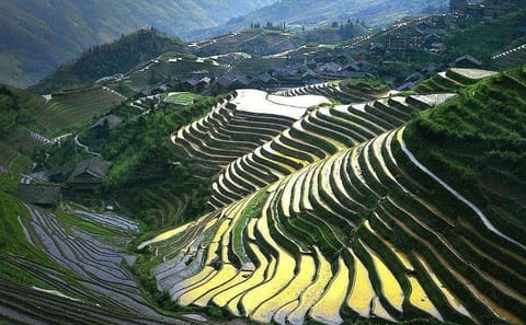 Full-day Hiking Tour of Longji Rice Terraces and Villages