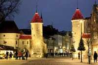 Tallinn A Private Walking Tour With Local Guide 5