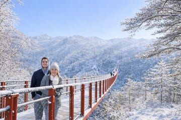 DMZ Tour from Seoul: NK Defector, 3rd Tunnel & Suspension Bridge