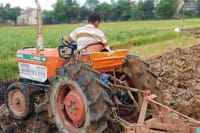 Hoi An: HOI AN COUNTRYSIDE CYCLING WITH LOCAL LIFE TOUR 7