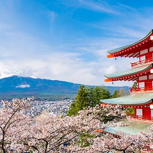 Mount Fuji Panoramic View & Shopping Day Tour