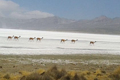 Are-10 : Mini Uyuni Experience – Salinas Lake