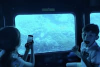 Panorama Semi Submarine And Snorkeling Sea Trip In Hurghada 7