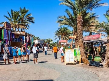 Safari and Snorkeling Tour with Camel Ride in Sharm El Sheikh