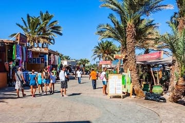 Safari and Snorkeling Tour with Camel Ride in Sharm El Sheikh