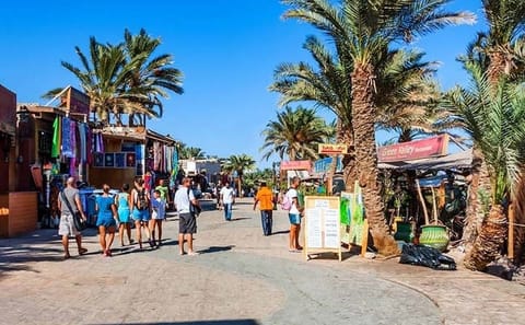 Safari and Snorkeling Tour with Camel Ride in Sharm El Sheikh