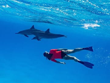 Private Dolphin Watching and Snorkeling Tour in Hurghada