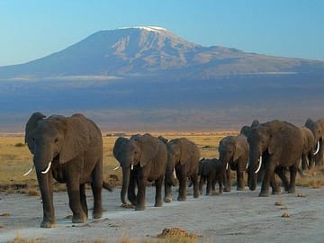 Private 3-Day Safari Experience in Amboseli National Park