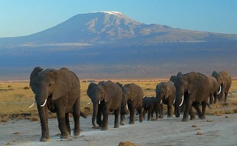 Private 3-Day Safari Experience in Amboseli National Park