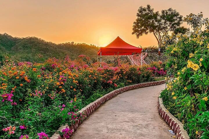 Ahmedabad to Unity Heights: Heritage and Nature Expedition