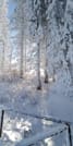 Private Vitosha Mountains Hiking with Black peak & Dragalevtsi Monastery 7