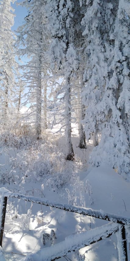 Private Vitosha Mountains Hiking with Black peak & Dragalevtsi Monastery 7