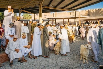 Private Day Trip to Nizwa and Misfat Al Aberyeen