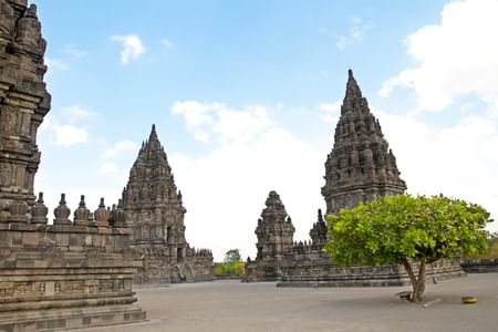 Private Prambanan & Merapi Lava Tour