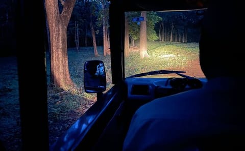 Hubli to Anshi National Park and Goa Beach Tour