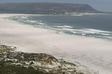 Private Tour of Cape of Good Hope, Penguins, and Kirstenbosch