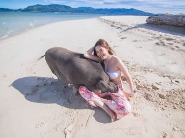 Koh Samui Pig Island Tour by Speedboat with Snorkeling