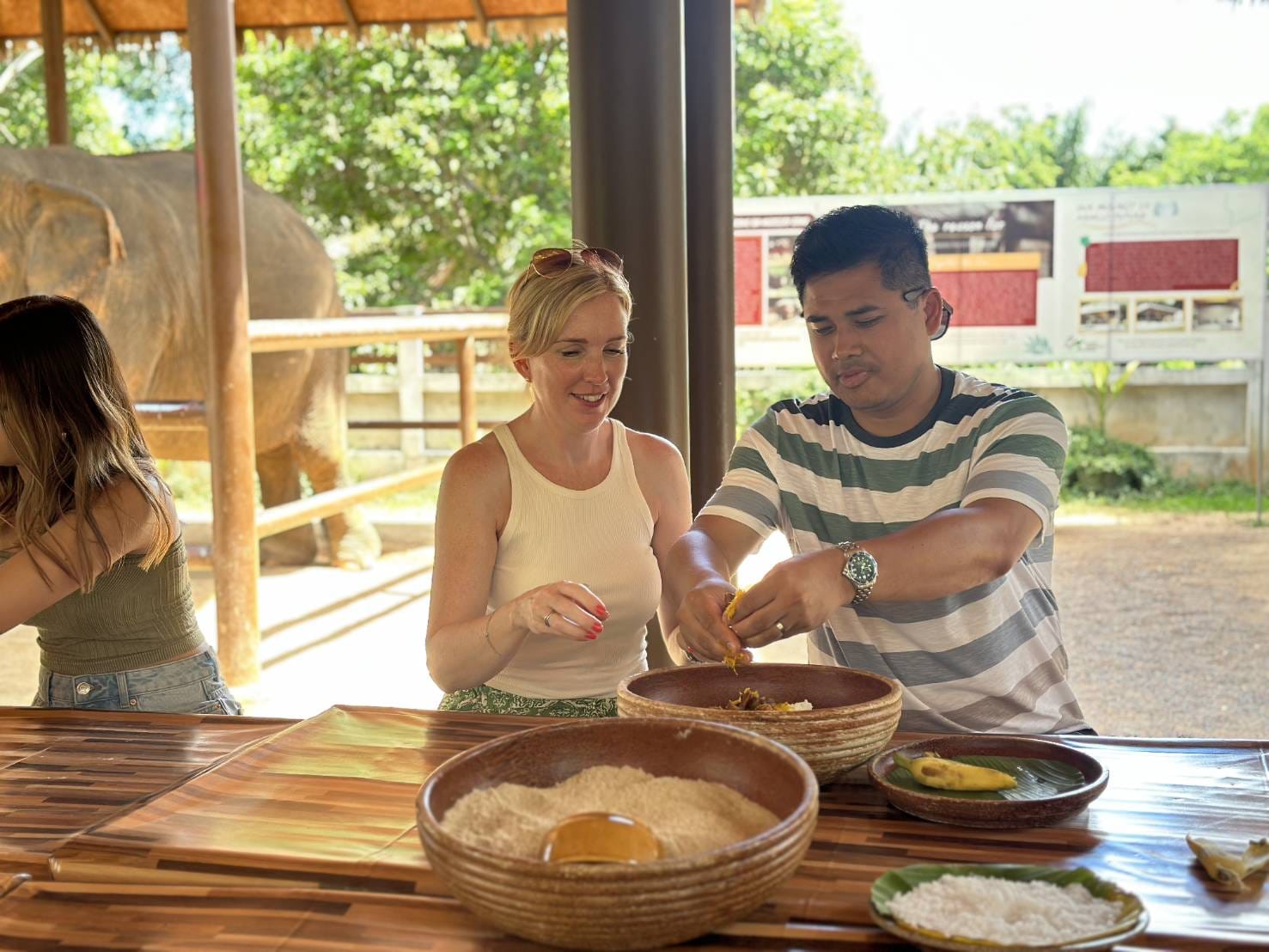 Samui: Feeding Program at the Elephant Home Nursery