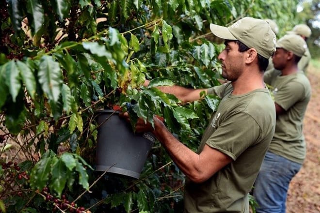 Rural Coffee Farm Tour with Breakfast & Lunch - Roasting & Tasting Experience  photo 3
